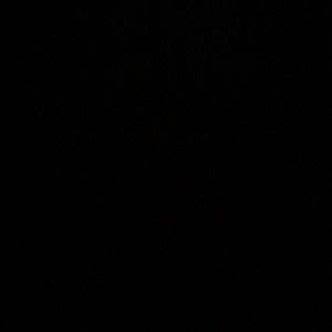 Meet your Posher, Angelica